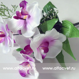 искусственные цветы букет орхидей с добавкой травка цвета белый 6